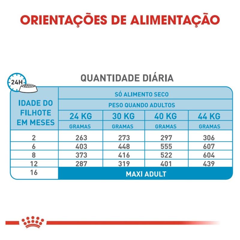 7908248301268---foto-6