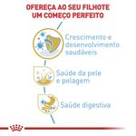 7908248301275---foto-2