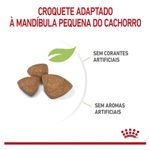 7908248301244---foto-4