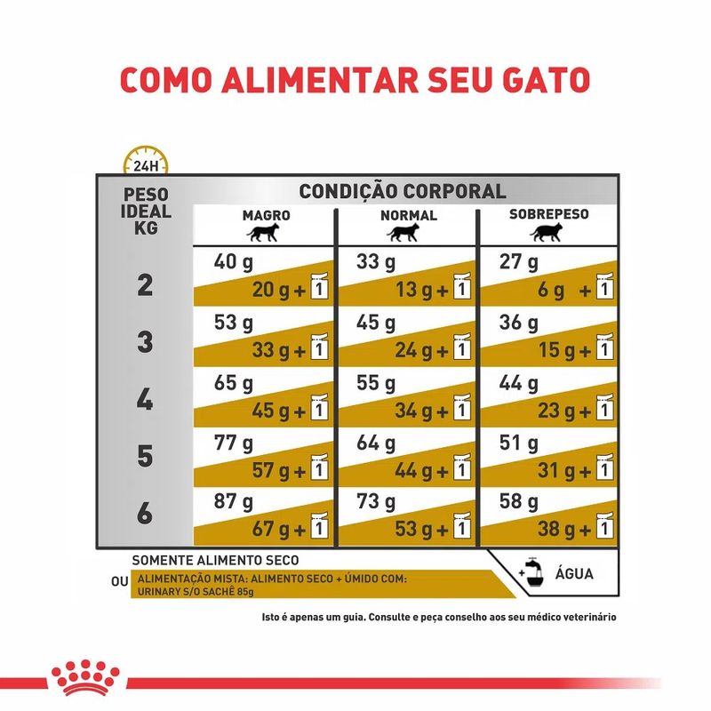 7908248301015---foto-4