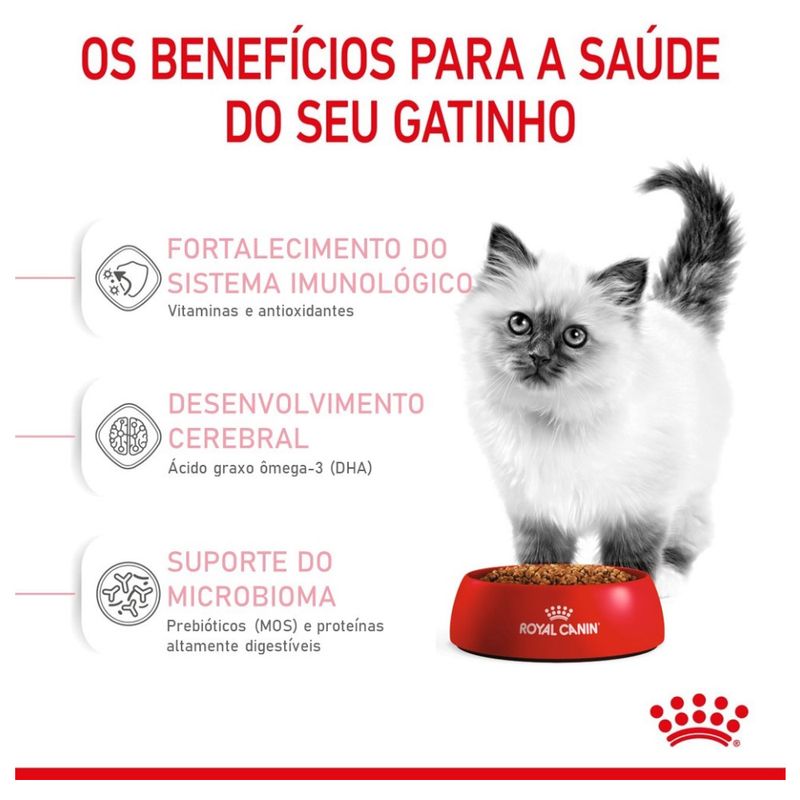 7896181213031---foto-3