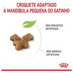7896181213031---foto-4