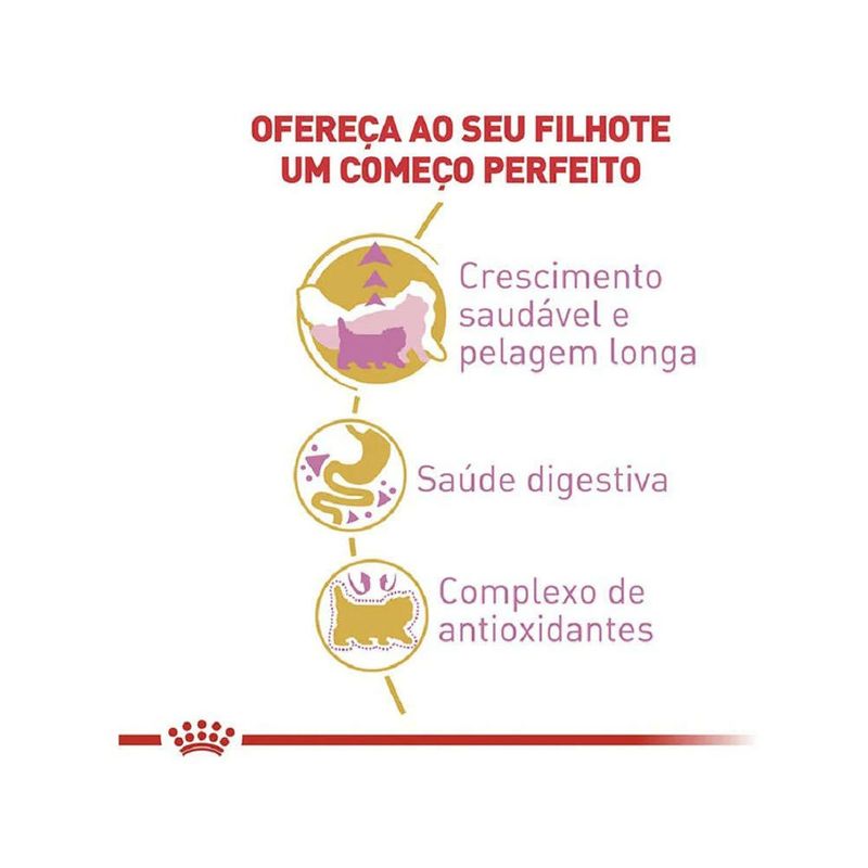 7896181213253---foto-2