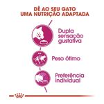 7896181213154---foto-2