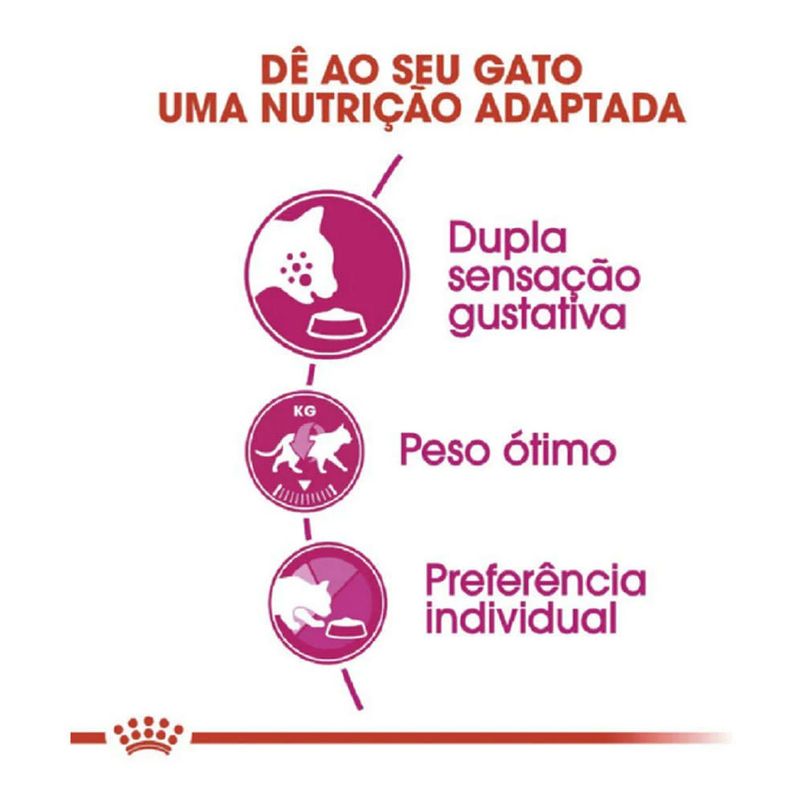 7896181213154---foto-2