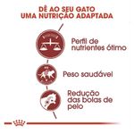 7896181212560---foto-1