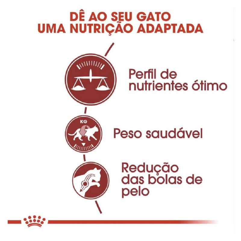 7896181212560---foto-1