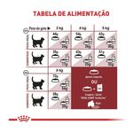 7896181212560---foto-4
