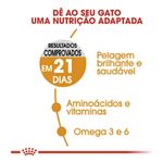 7896181213406---foto-2