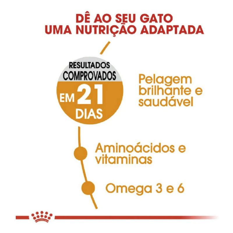 7896181213406---foto-2