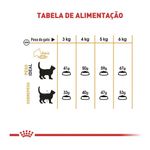 7896181213406---foto-4