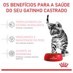 7896181215769---foto-5