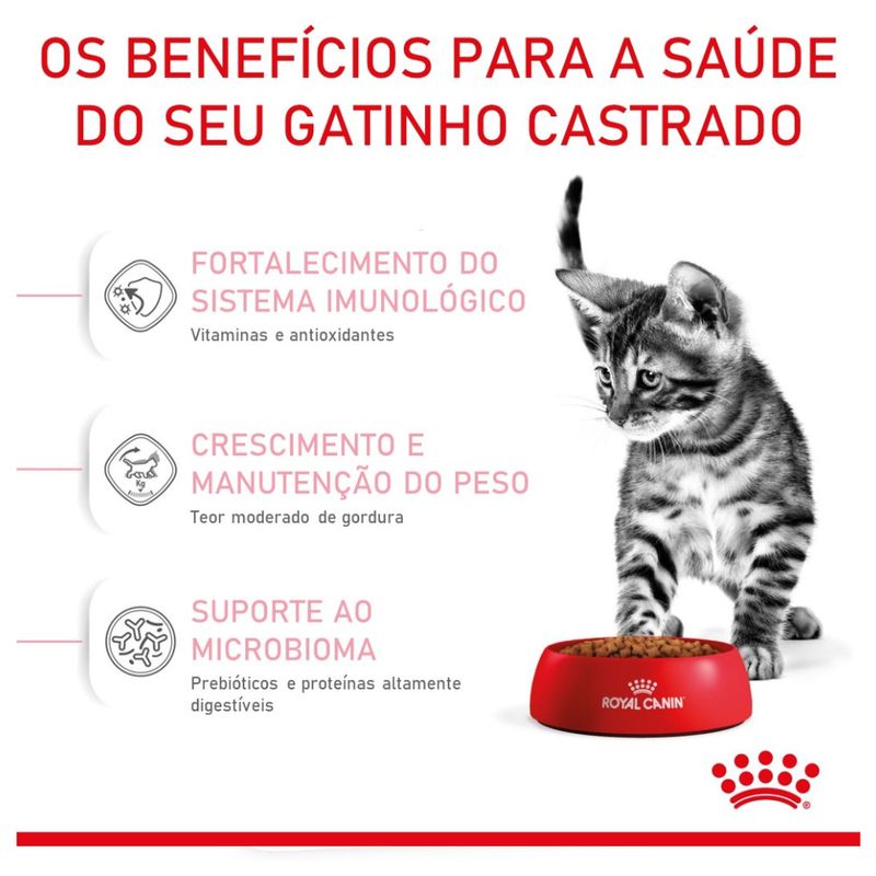 7896181215769---foto-5