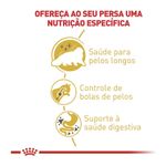 7896181213284---foto-2