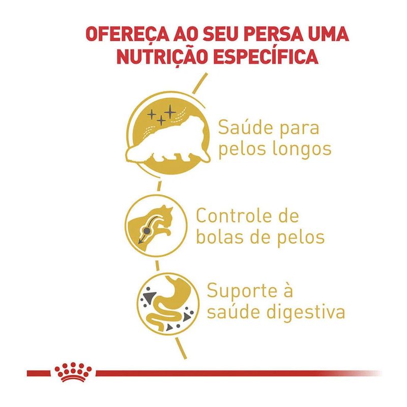 7896181213284---foto-2