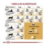 7896181213284---foto-4