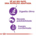 7896181213079---foto-2