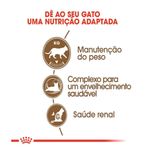 7896181215523---foto-2