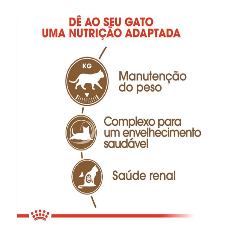 7896181215523---foto-2