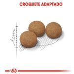 7896181215523---foto-3