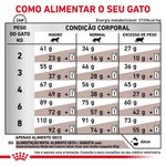 7896181215387---foto-5
