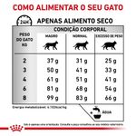7896181215370---foto-5