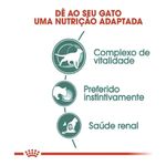 7896181217497---foto-4