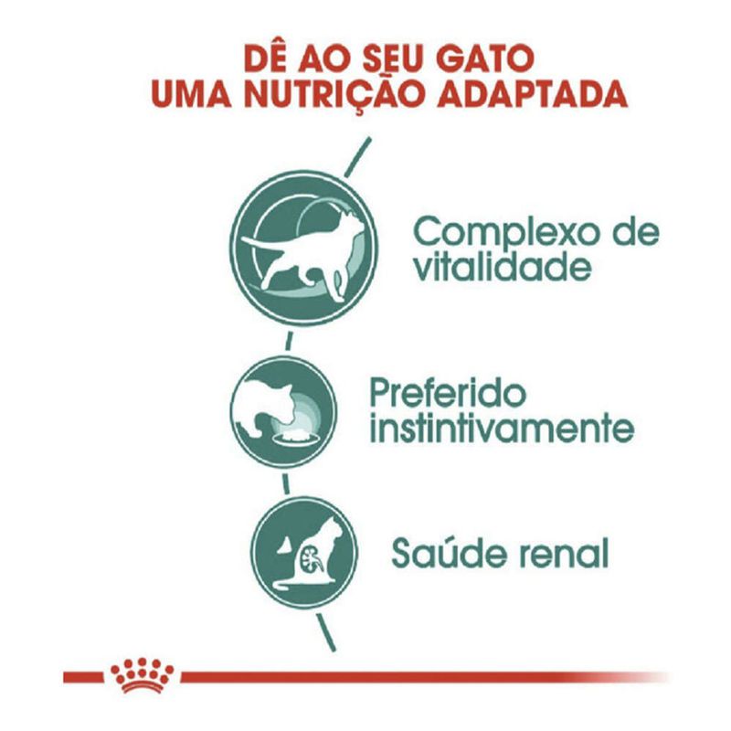 7896181217497---foto-4