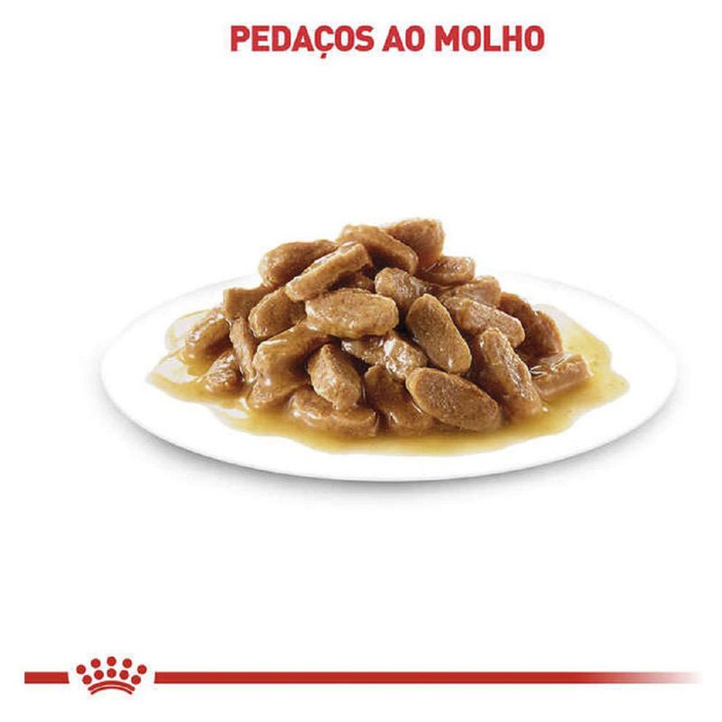 7896181217497---foto-5