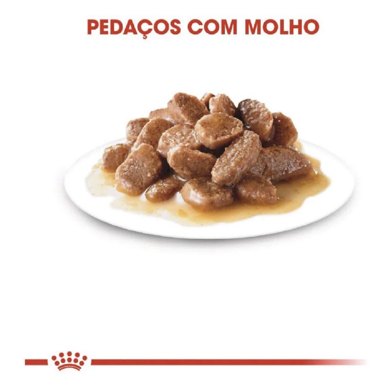 7896181214113---foto-2