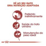 7896181214113---foto-3