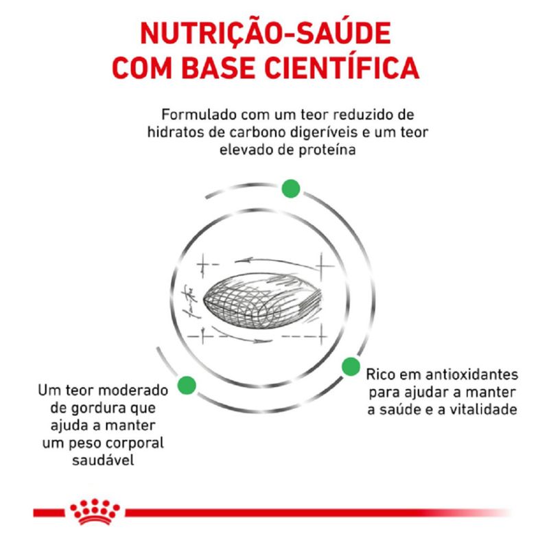 7896181213857---foto-2