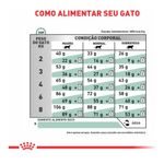 7896181213857---foto-5