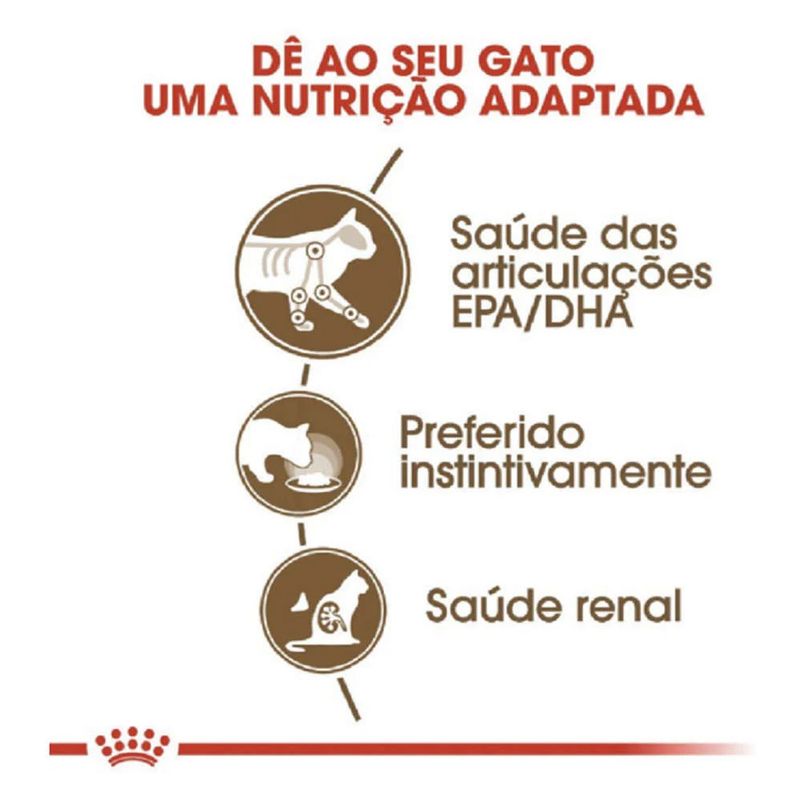 7896181217480---foto-3