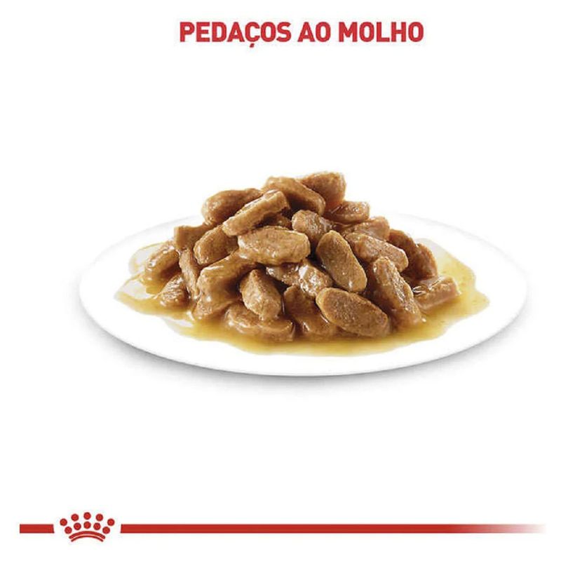 7896181217480---foto-4