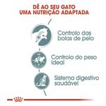 7896181218104---foto-2