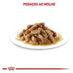 7896181218104---foto-5