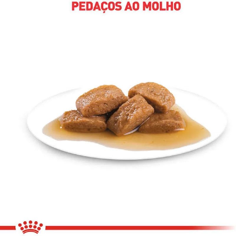 7896181217930---foto-3
