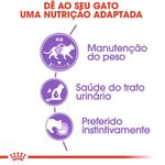 7896181217190---foto-2