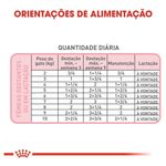 7896181217213---foto-5