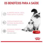 7896181217213---foto-6