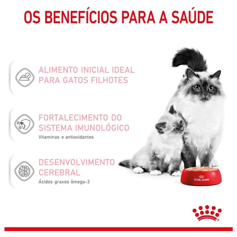 7896181217213---foto-6
