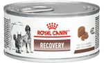 Racao_Royal_Canin_Lata_Canine_e_Feline_Veterinary_Diet_Recovery_Wet_-_195_g_31018345_2