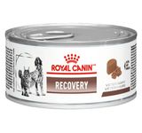 Ração Úmida Royal Canin Lata Veterinary Diet Recovery Para Cães E Gatos Em Recuperação - 195 G