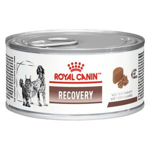 Ração Úmida Royal Canin Lata Veterinary Diet Recovery Para Cães E Gatos Em Recuperação - 195 G