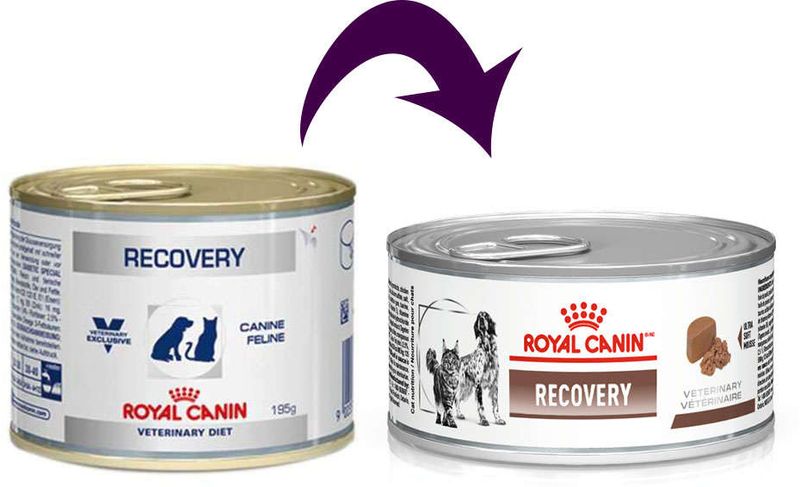 Racao_Royal_Canin_Lata_Canine_e_Feline_Veterinary_Diet_Recovery_Wet_-_195_g_31018345