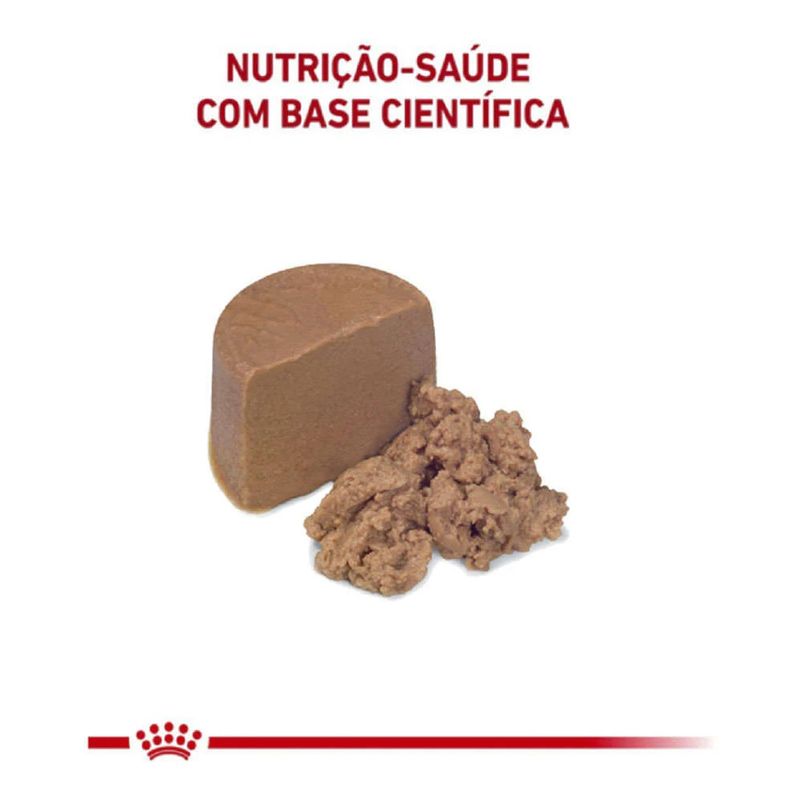 7896181213970---foto-1