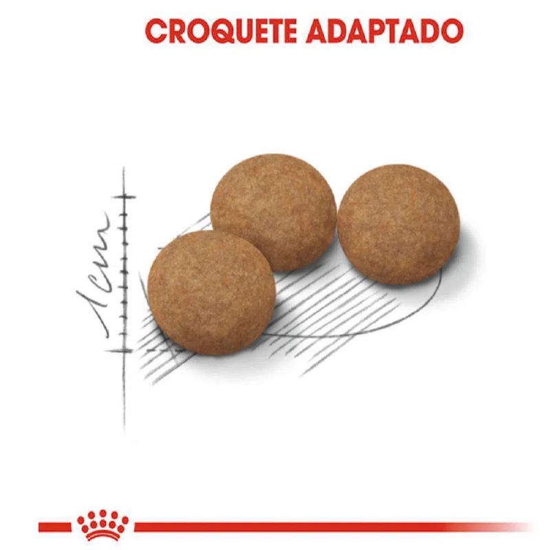 7908248301800-foto-2