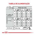 7908248301848---foto-5