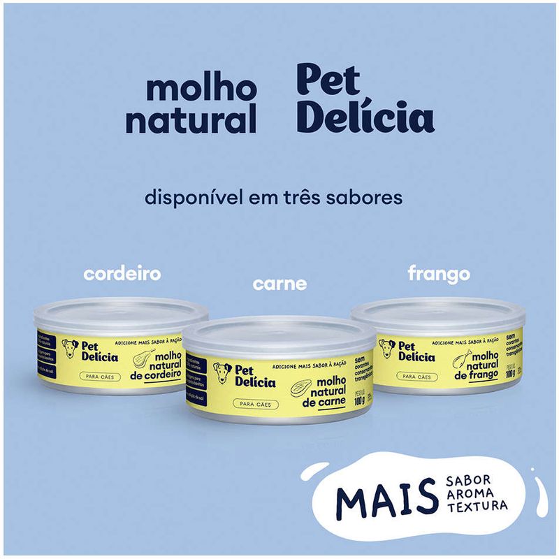 31027520453_Molho_Pet_Delicia_Natural_para_Caes_Sabor_Carne
